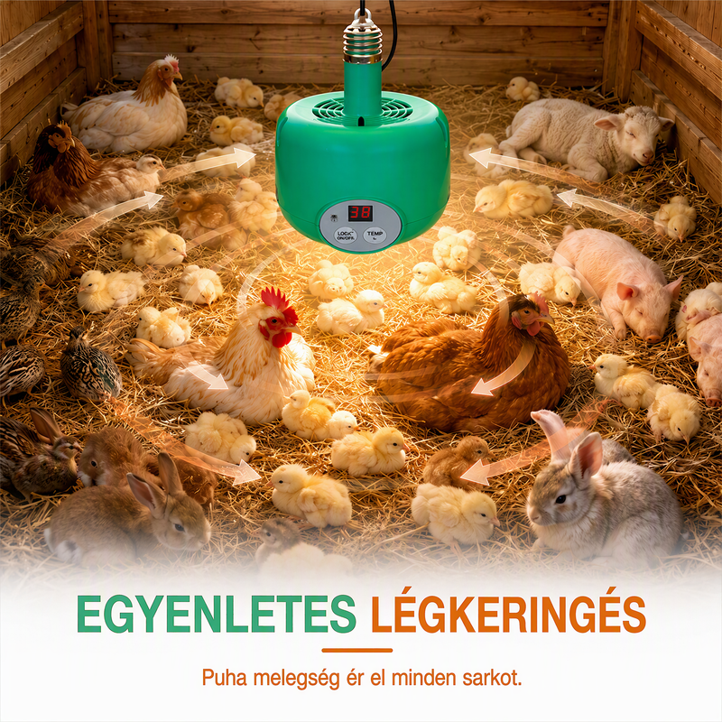 🐣🌡️ Intelligens hőmérséklet-szabályozású keltetőmelegítő – Stabil hő a kiscsibék és fiókák számára